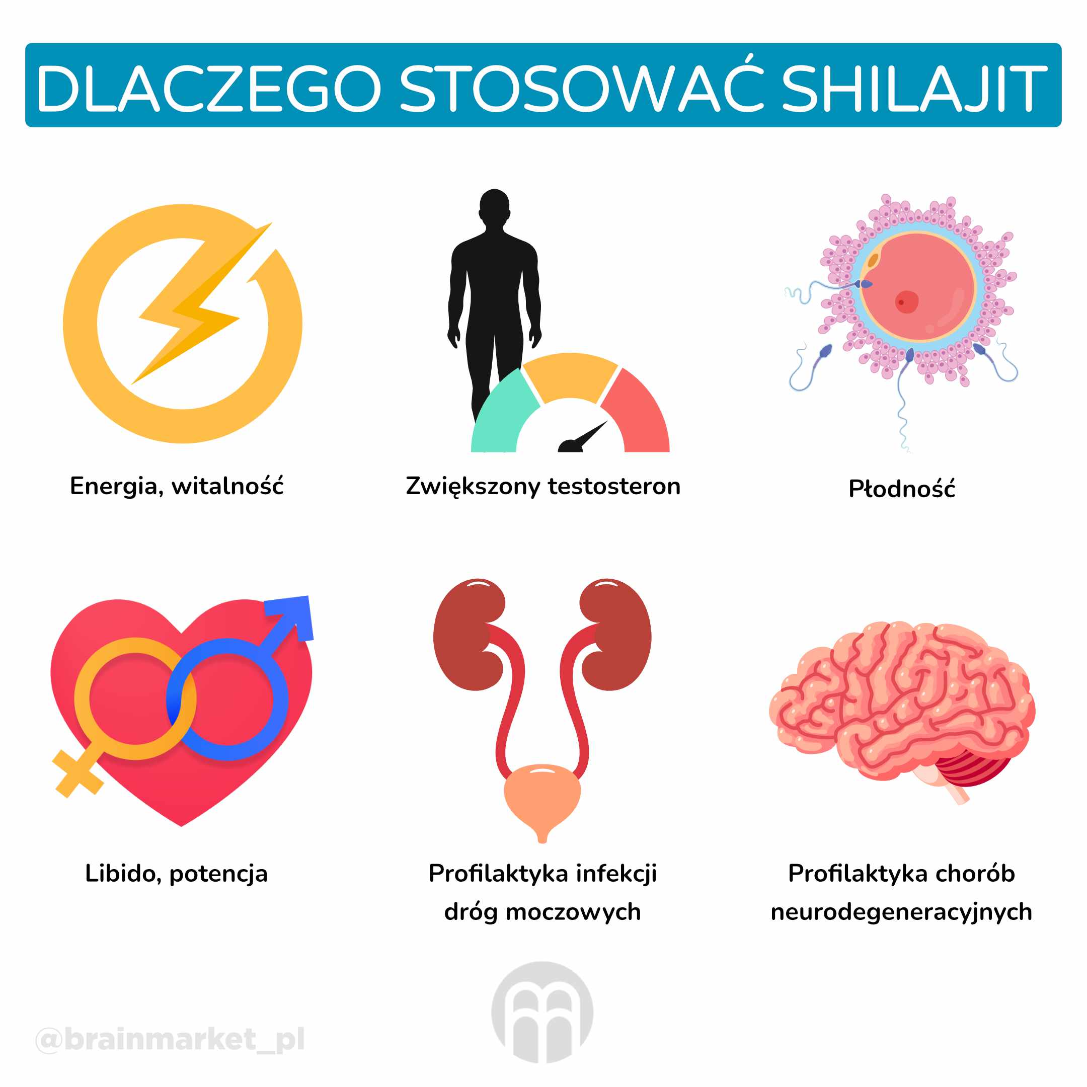 Proč užívat Shilajit__infografika_pl